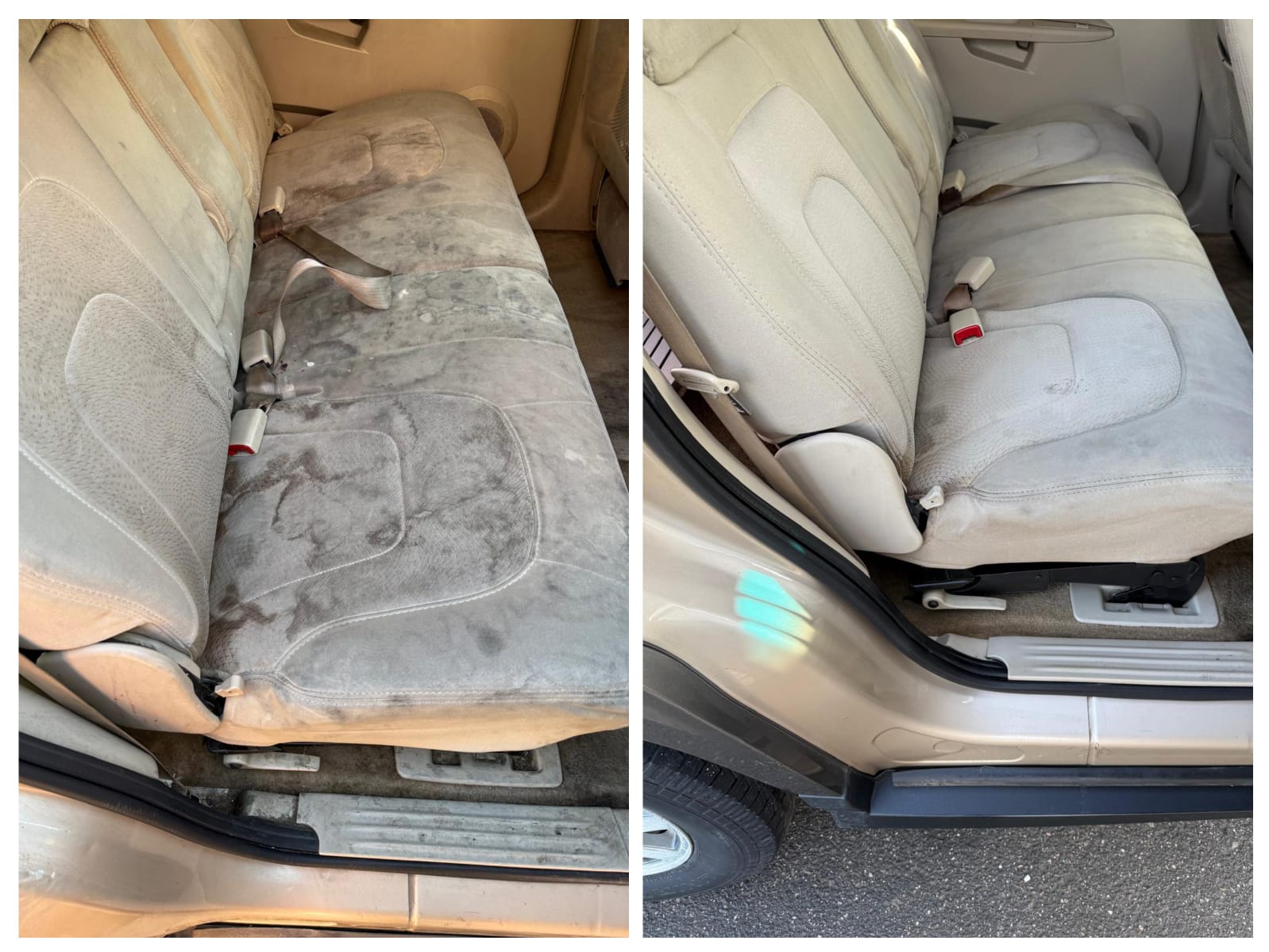 Shampoo de asiento y alfombra